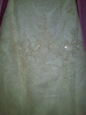 Got my dress today!!! **PIC Heavy**