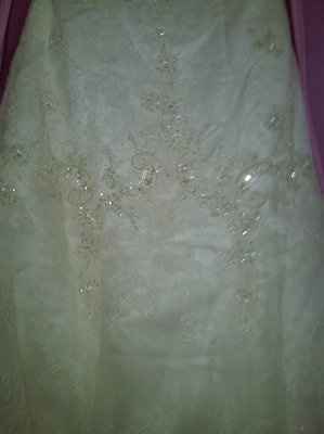 Got my dress today!!! **PIC Heavy**