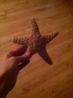 Beach Wedding anyone?