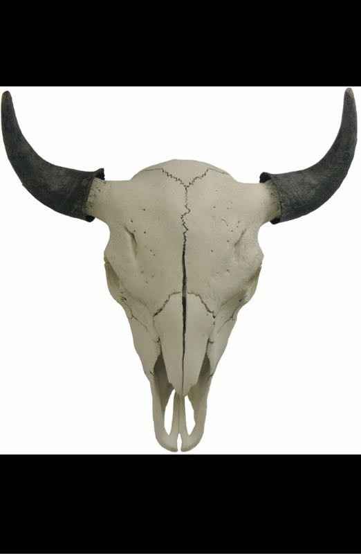 Show me your non traditional guest book! Or your inspiration!