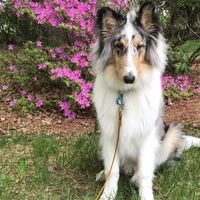 Show me your fur babies!