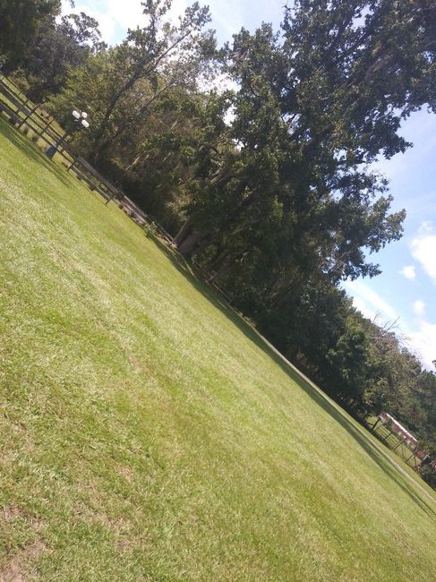 Do i need a dj for the ceromony?? 1