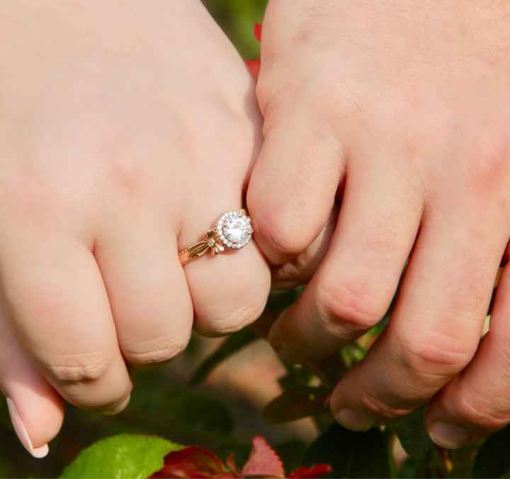 Engagement Ring Bliss - 1