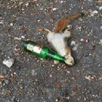 So, it's VM's Birthday...