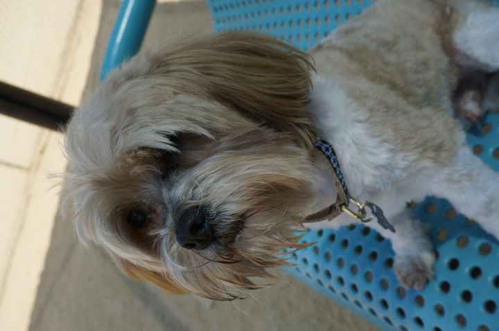 NWR - Furbaby Friday