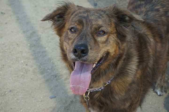 NWR - Furbaby Friday