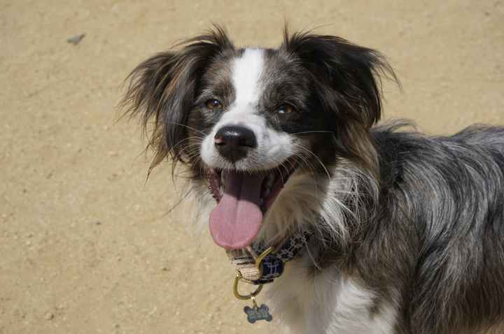 NWR - Furbaby Friday