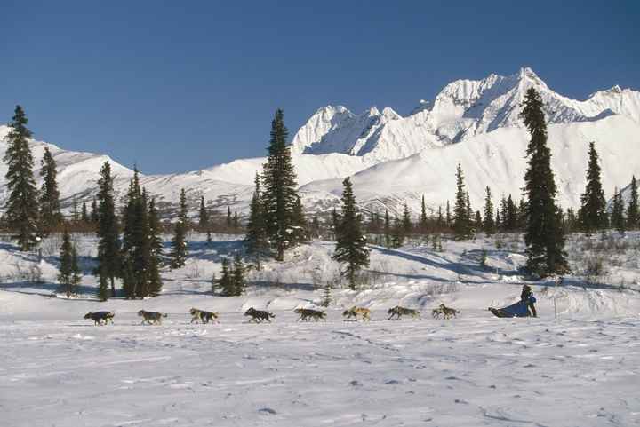 Lets see pictures of....