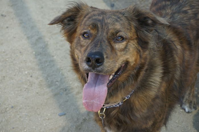 NWR - Furbaby Friday