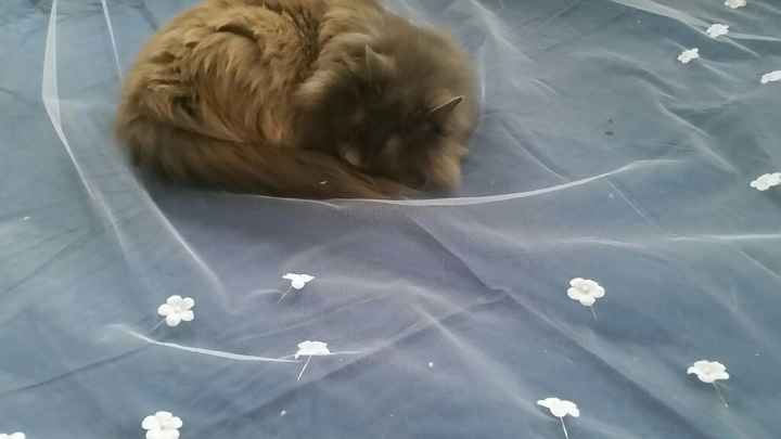 I'm making my own veil! - 2