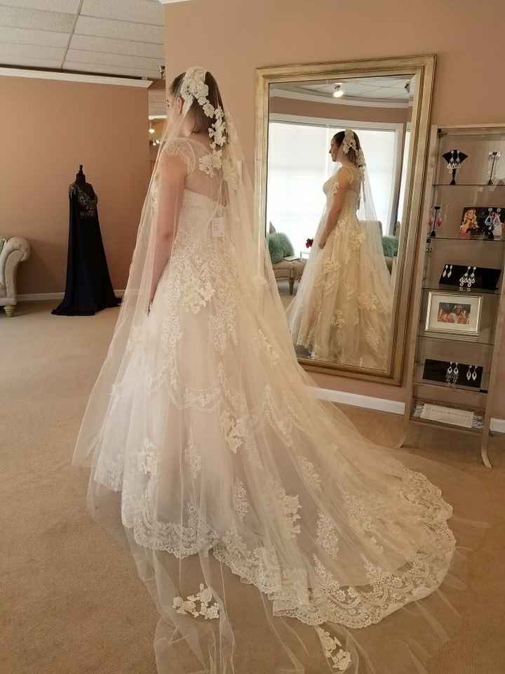 Dress with veil!