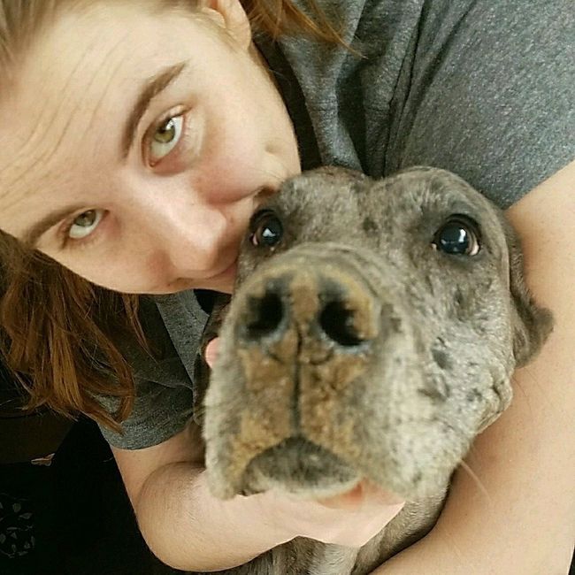Nwr: fostering a puppy