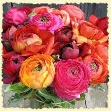 Who knows flowers?