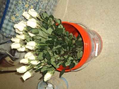 Flowers!! Real v. Fake!