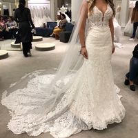 Ladies - Please Show Me Your Bustles - - 2