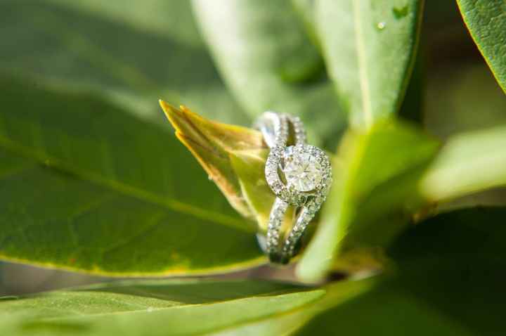 Ladies with halo rings, show me your straight wedding bands!