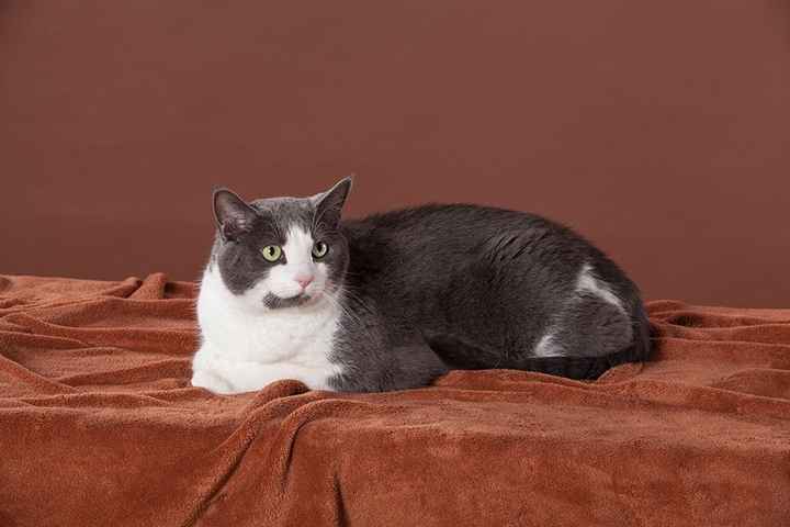 NWR: post pics of your pets!!