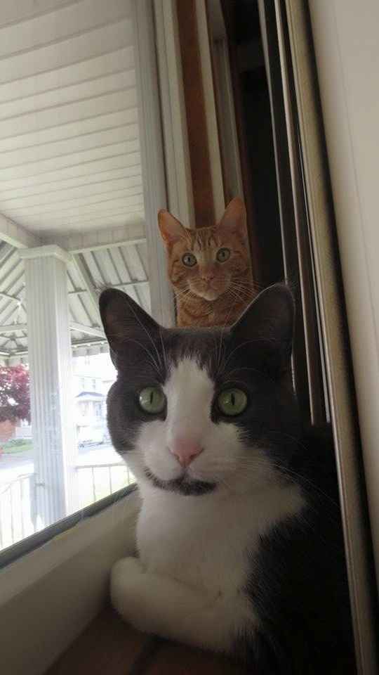 Seems like an awful lot of bad news on here today :(