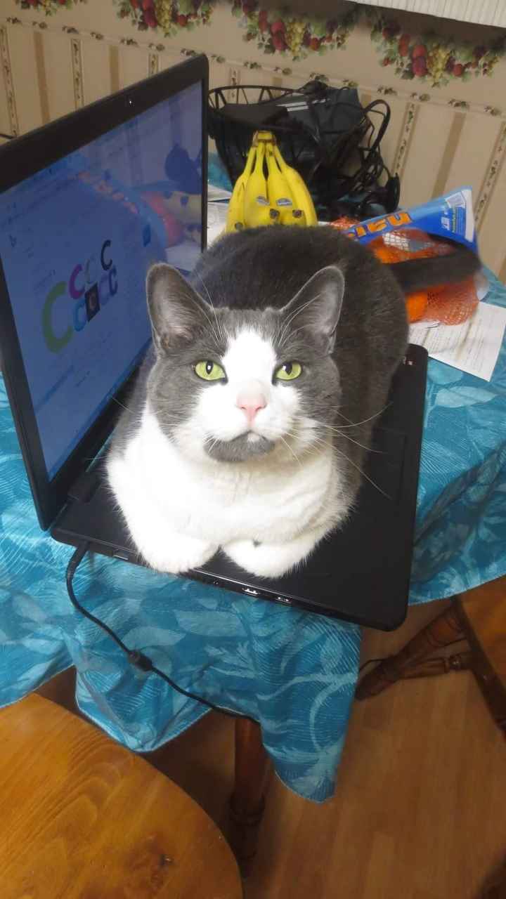 It's Fursday! Share the love!