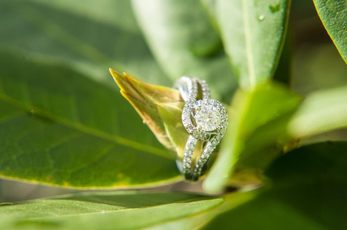 Engagement stories!