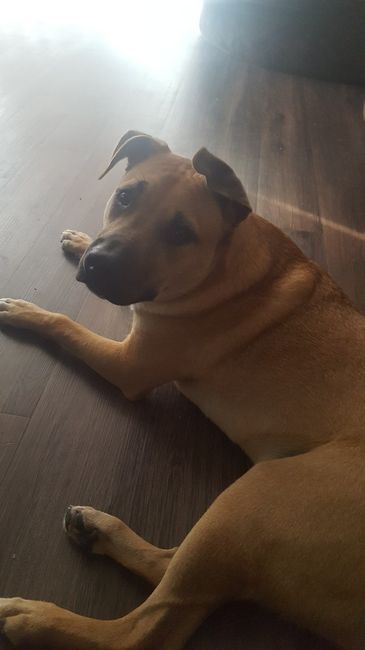 NWR:  Show me your fur babies!