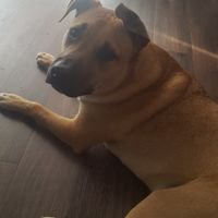 NWR:  Show me your fur babies!