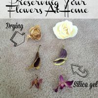 Preserved my bouquet! - 4