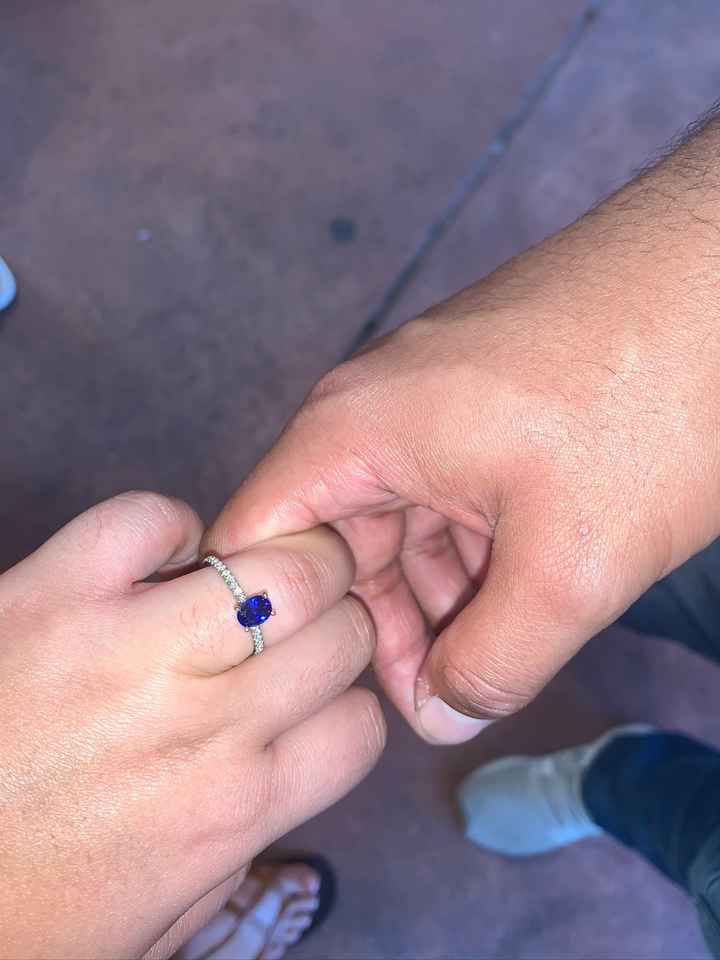 Show me the Ring!💍 - 1