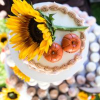 BAM (Now with Pro pics)