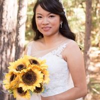 BAM (Now with Pro pics)