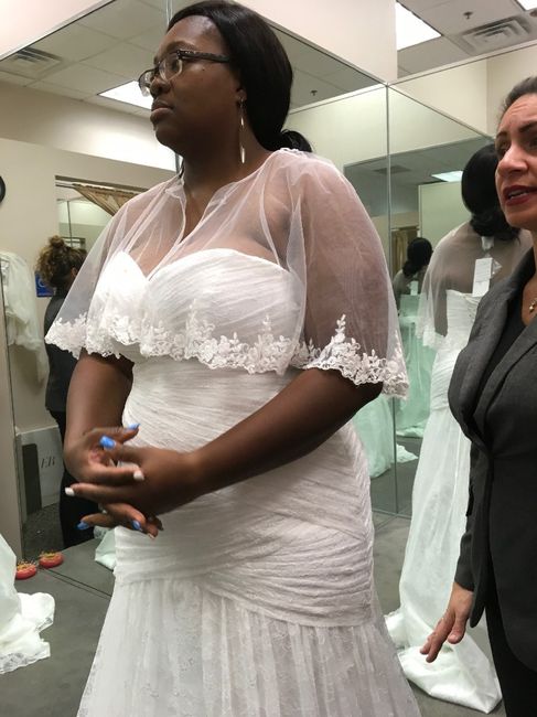 Dress Alterations with sleeve option 2