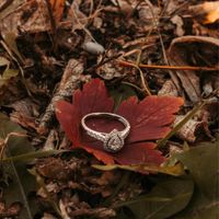 2023 Brides - Show us your ring! - 1