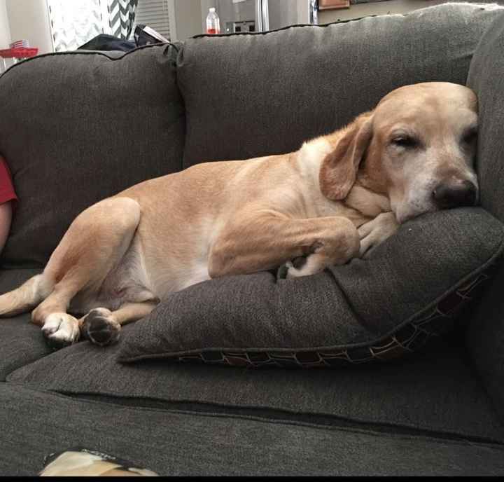 NWR - I need lab help!