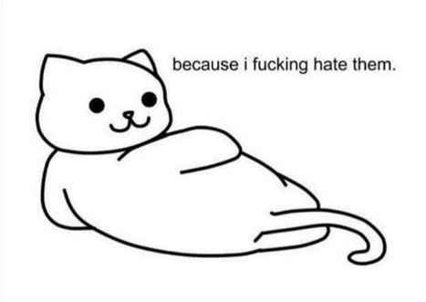 Country wedding ideas