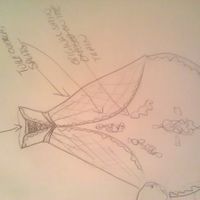 Turning my mother's dress into mine