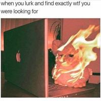 NWR - What's the last meme you saved?