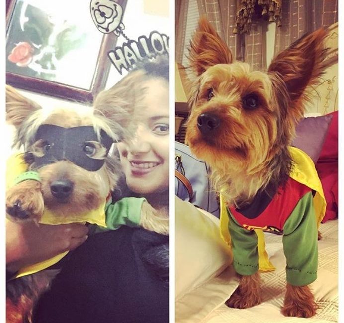 NWR Show us your Halloween Pets!