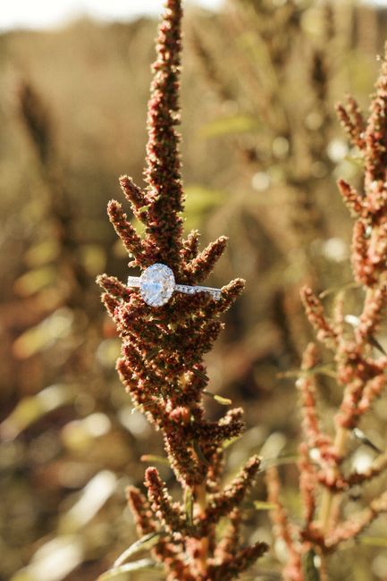 Brides of 2022! Show us your ring! - 1