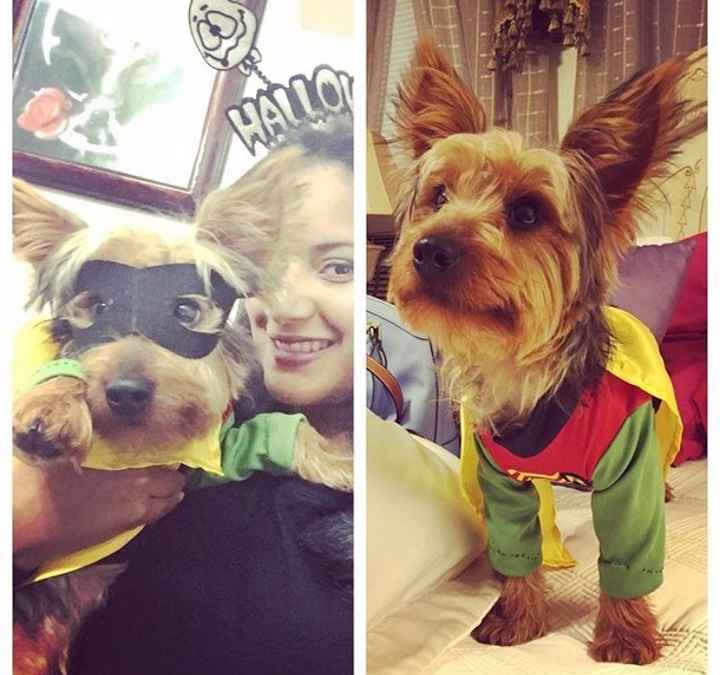 NWR Show us your Halloween Pets!