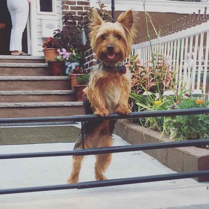 NWR: Bored? Show off your pets!