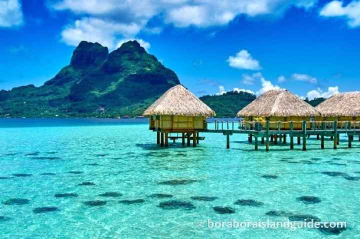 Honeymoon boookkkeddd!!! Rollcalll!!!