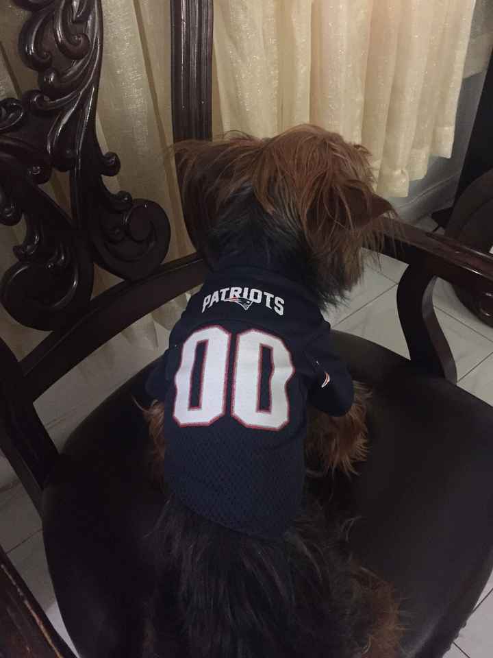 NWR: Super Bowl
