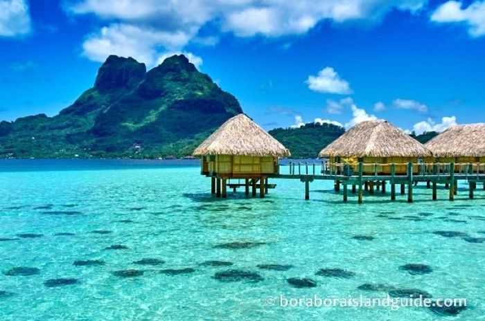 Honeymoon boookkkeddd!!! Rollcalll!!!