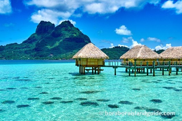 Honeymoon