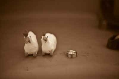 Your favorite thing about your wedding