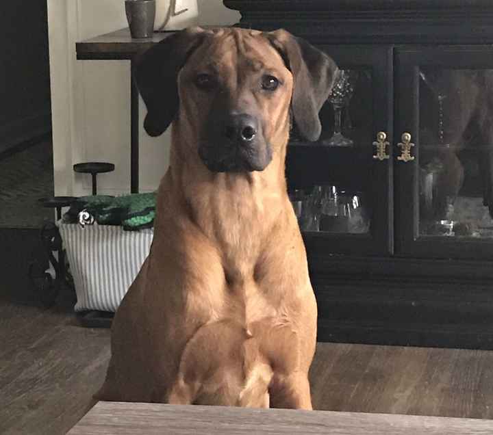 Thinking about demoting my Maid of Honor...HELP!!!