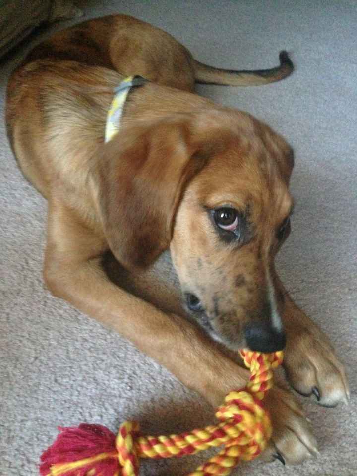 NWR: Puppy! PICS