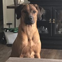 Thinking about demoting my Maid of Honor...HELP!!!