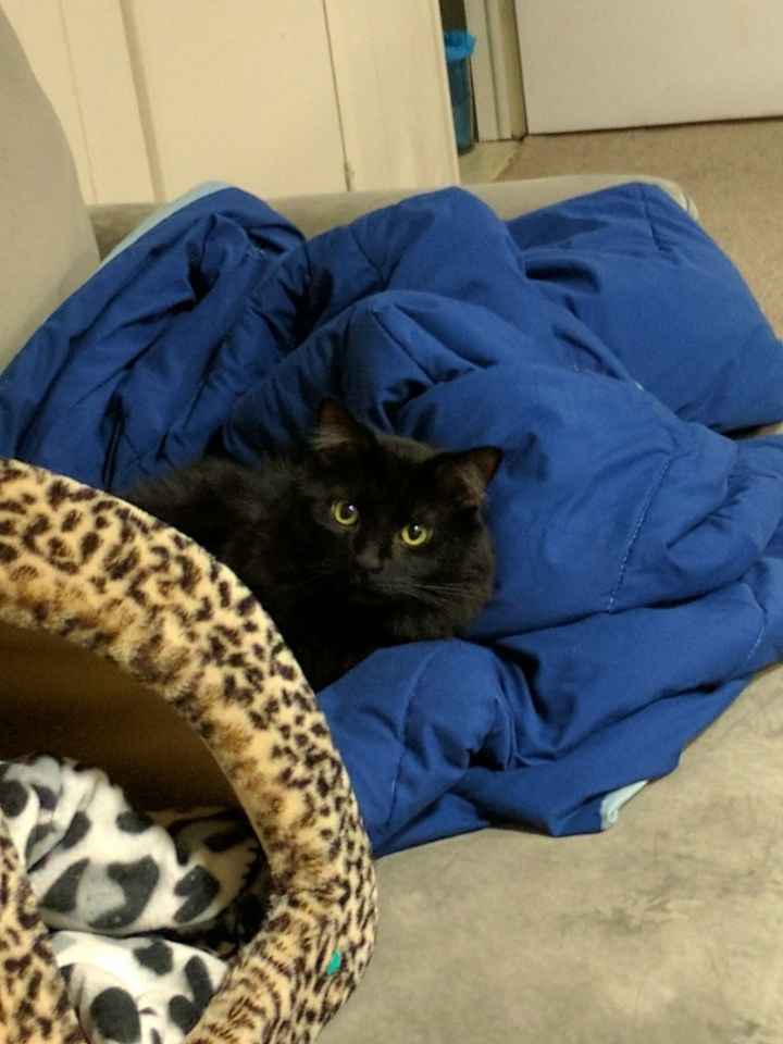 Intro and NWR gift question