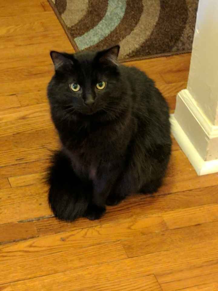 Intro and NWR gift question